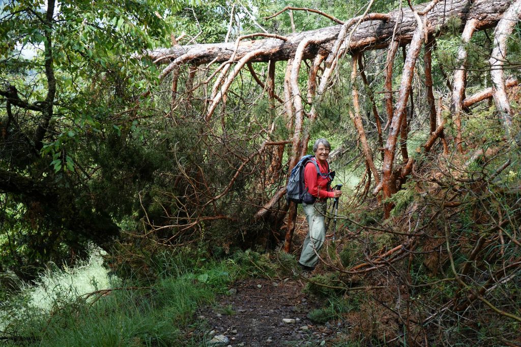 Il y a eu une très grosse tempête il n'y a pas longtemps